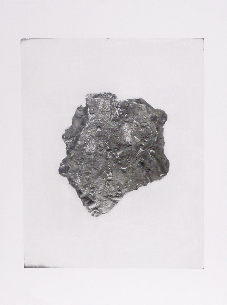 Crinoid fossil (verso), 2015.