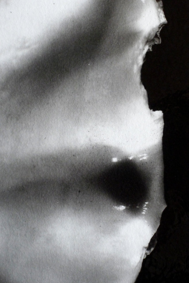 Clam (Interior - detail), 2015.