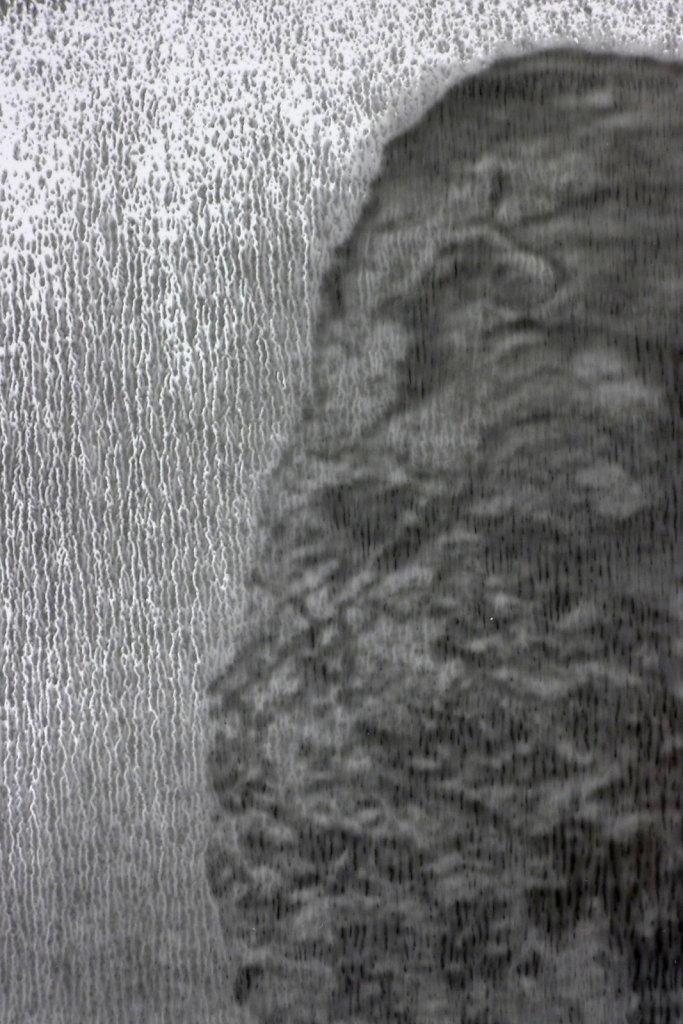 Clam (residue - detail), 2016