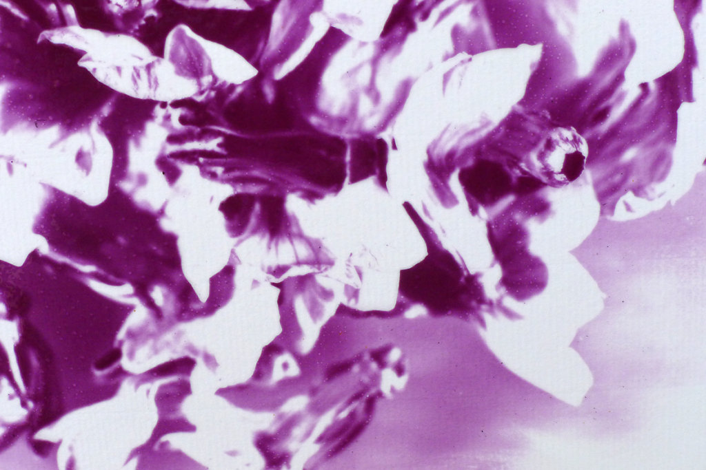 Acanthus (Mound II - detail), 2015.