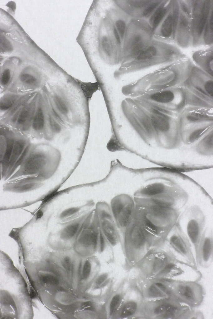 Kiweno slices (detail), 2016.